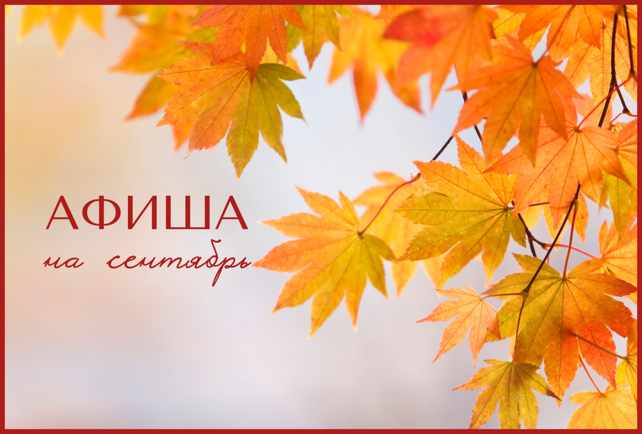 банер_на_сайт_2008х1358_главный,_копия_(5).png